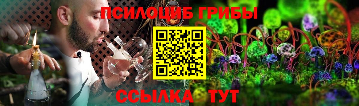 Псилоцибиновые грибы MAGIC MUSHROOMS Чехов
